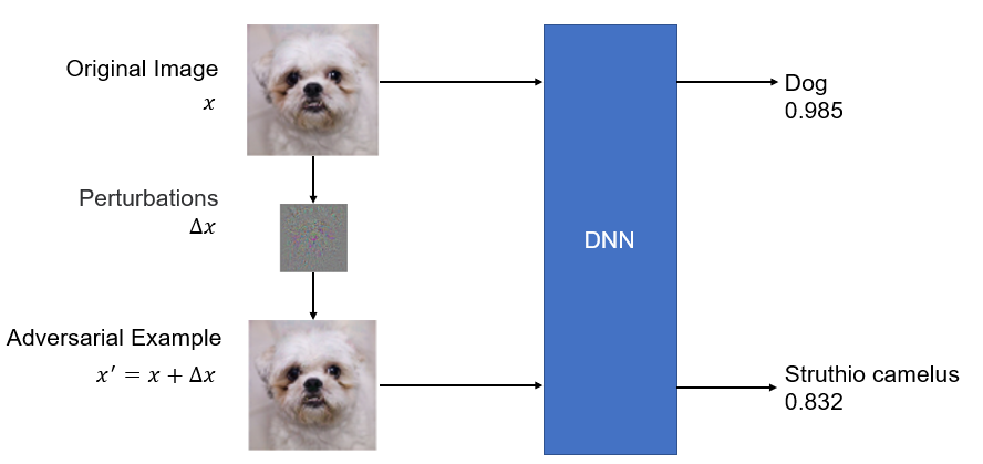 Adversarial Example of Vision-based DNN